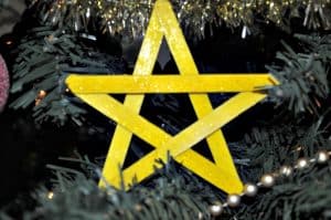 Christmas star