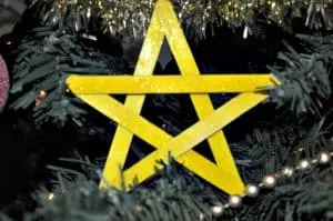 Christmas star