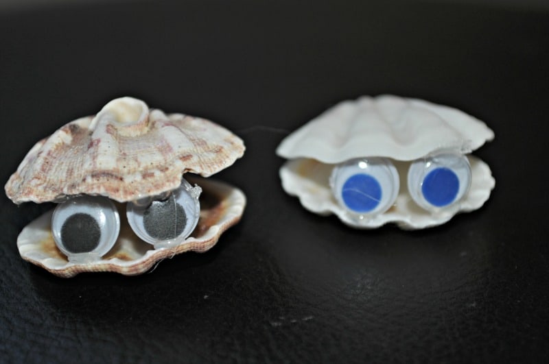 Seashell critter couple