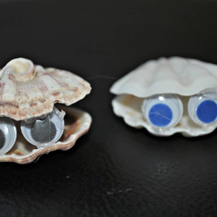 Seashell critter couple