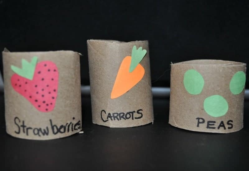 toilet Paper roll Plant starters