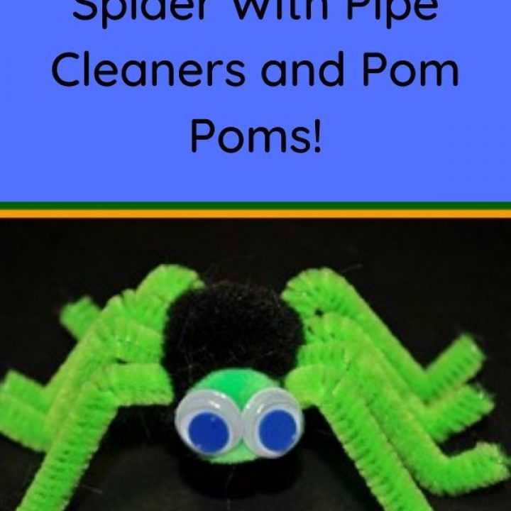 spider craft with pipe cleaner