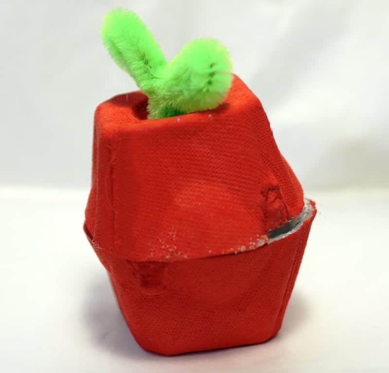 Finished egg carton apple craft