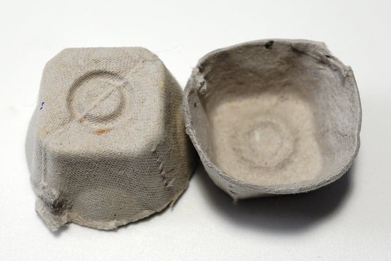 Cut out egg carton