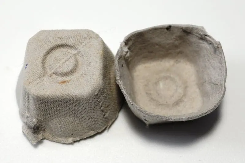 Cut out egg carton