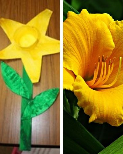 simple daffodil craft