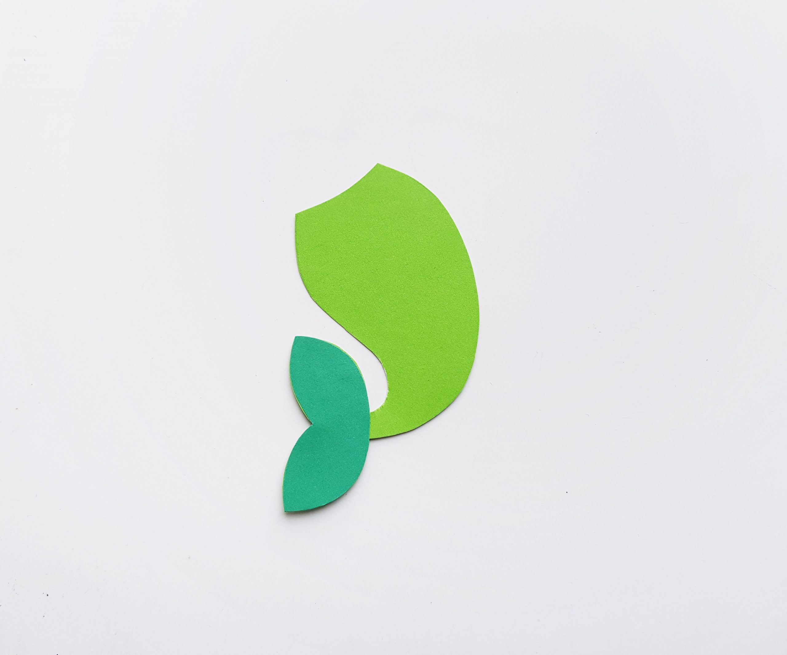 ariel mermaid fin craft
