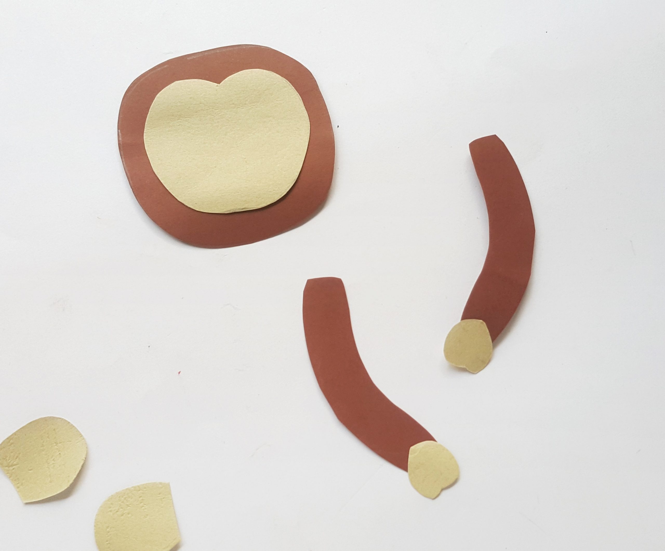 monkey easy toilet paper crafts step by step