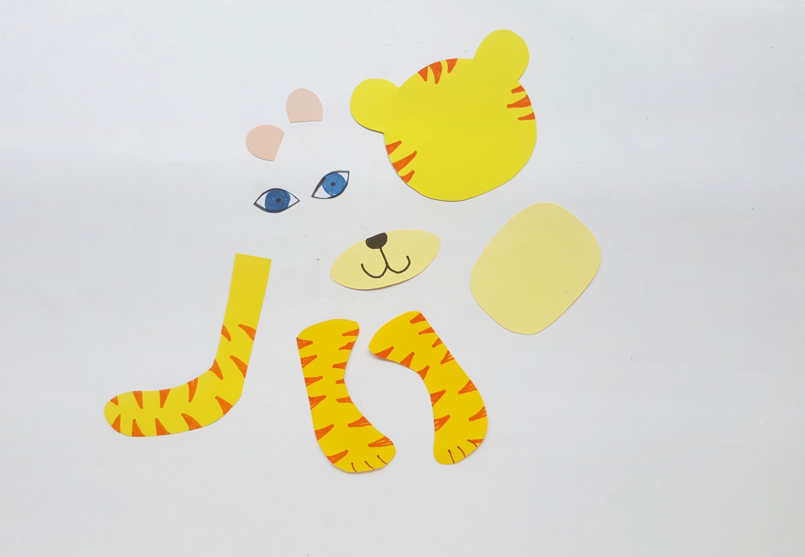 Tiger Toilet Paper Roll Craft Procedure