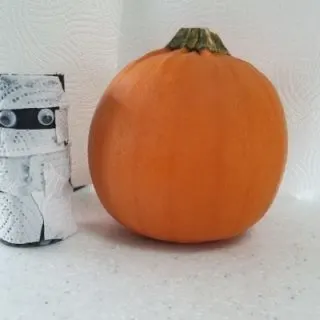 toilet paper roll mummy craft