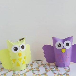 toilet paper roll owl craft