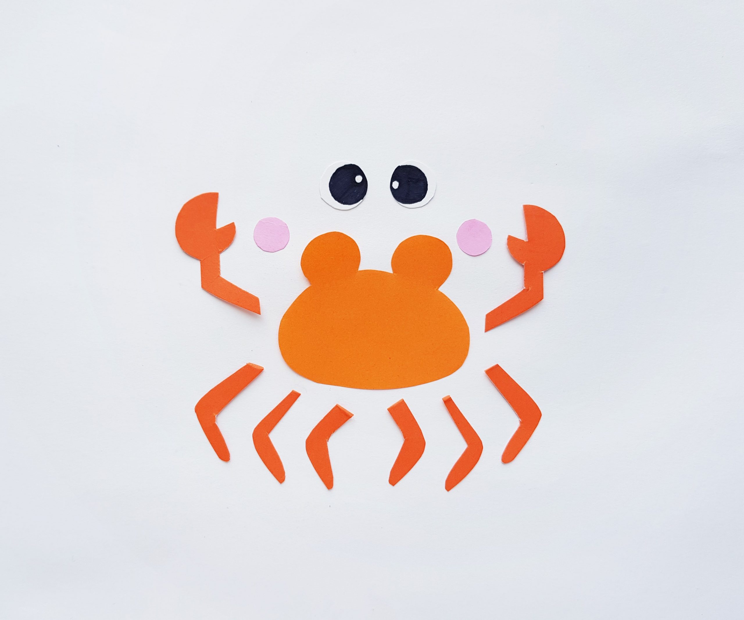 crab craft procedure