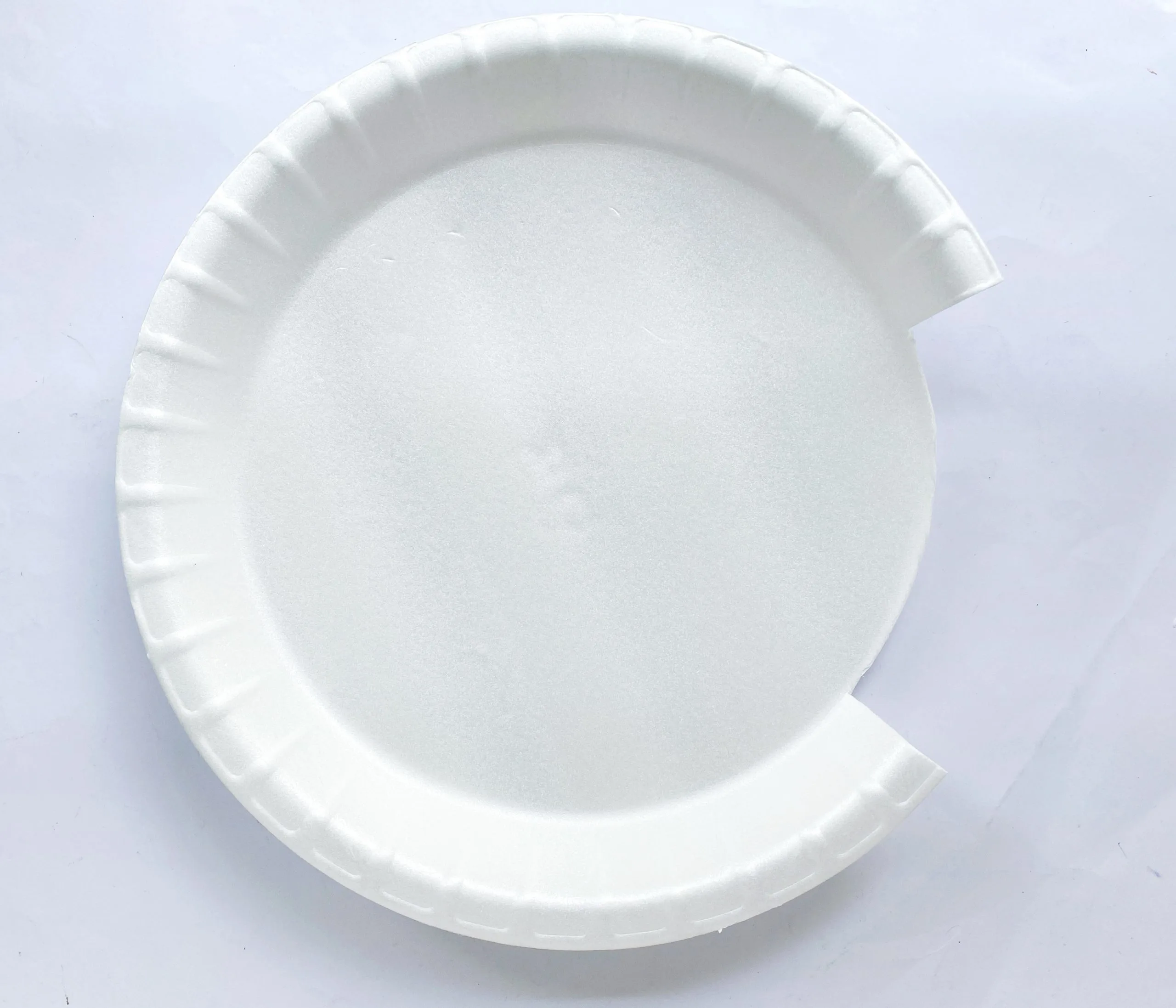 sea paper plate craft procedure