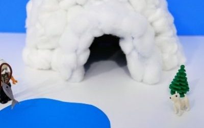 Best igloo ever from tissue box