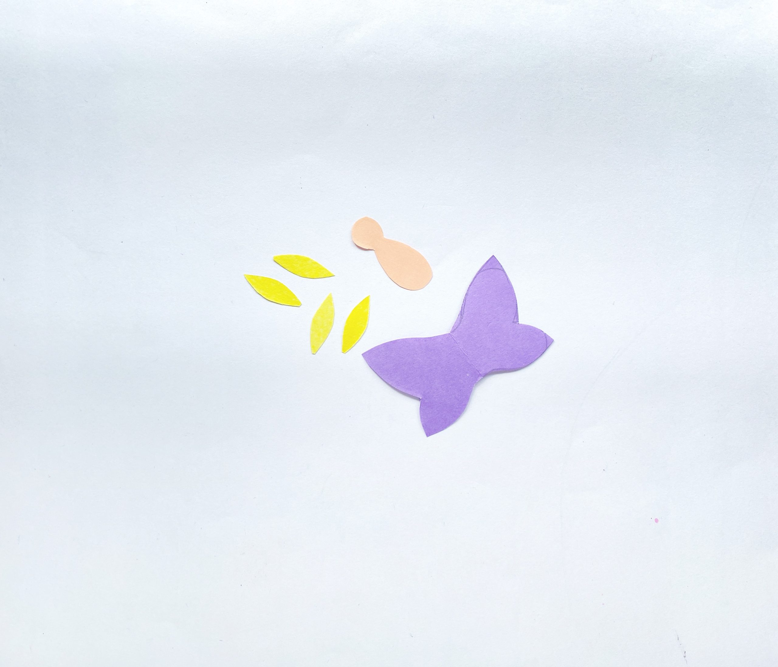 paper butterfly craft procedure