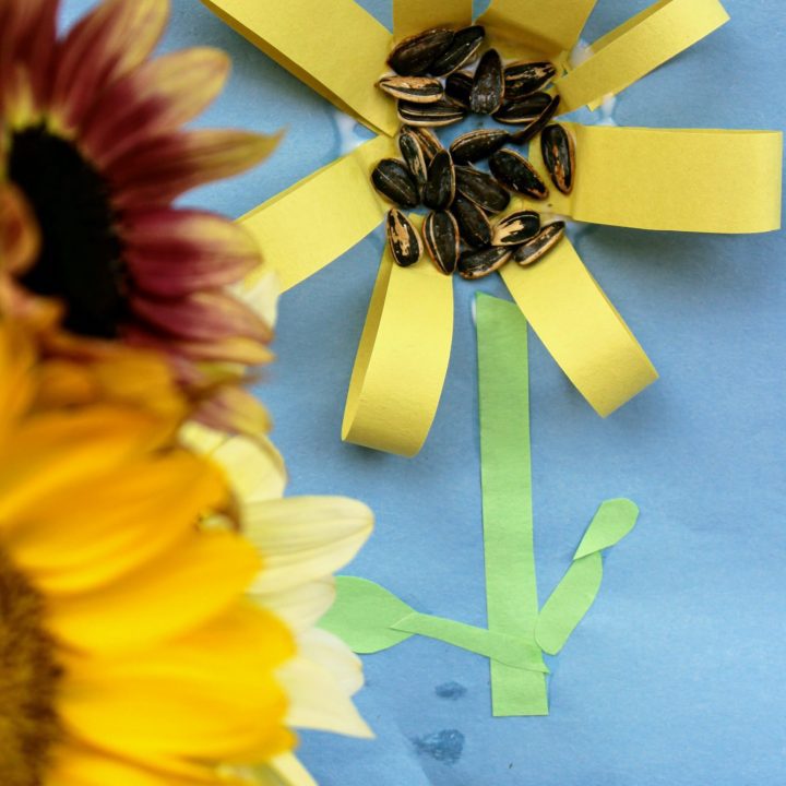 sunflower paper craft