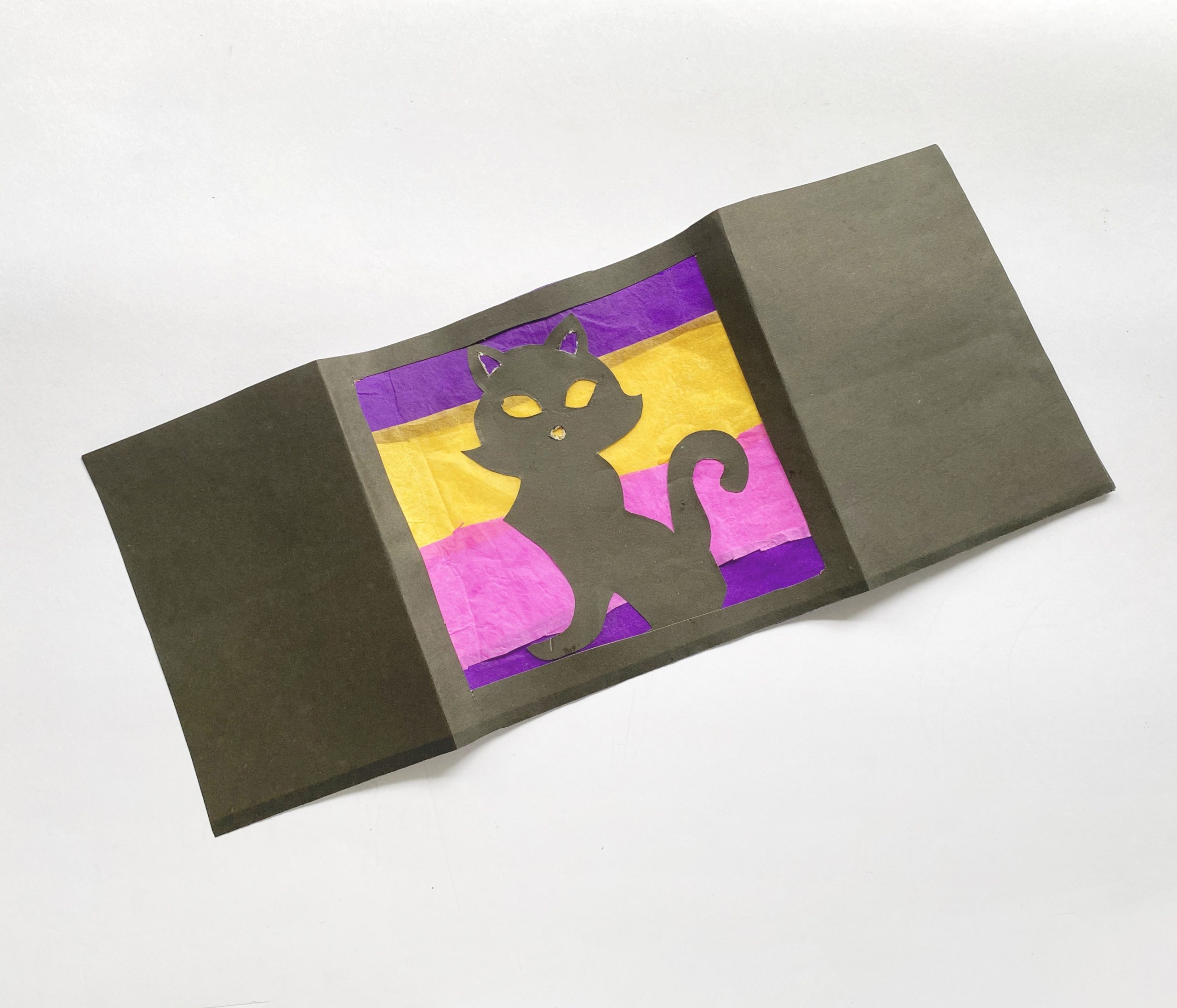 how to make a cat luminary