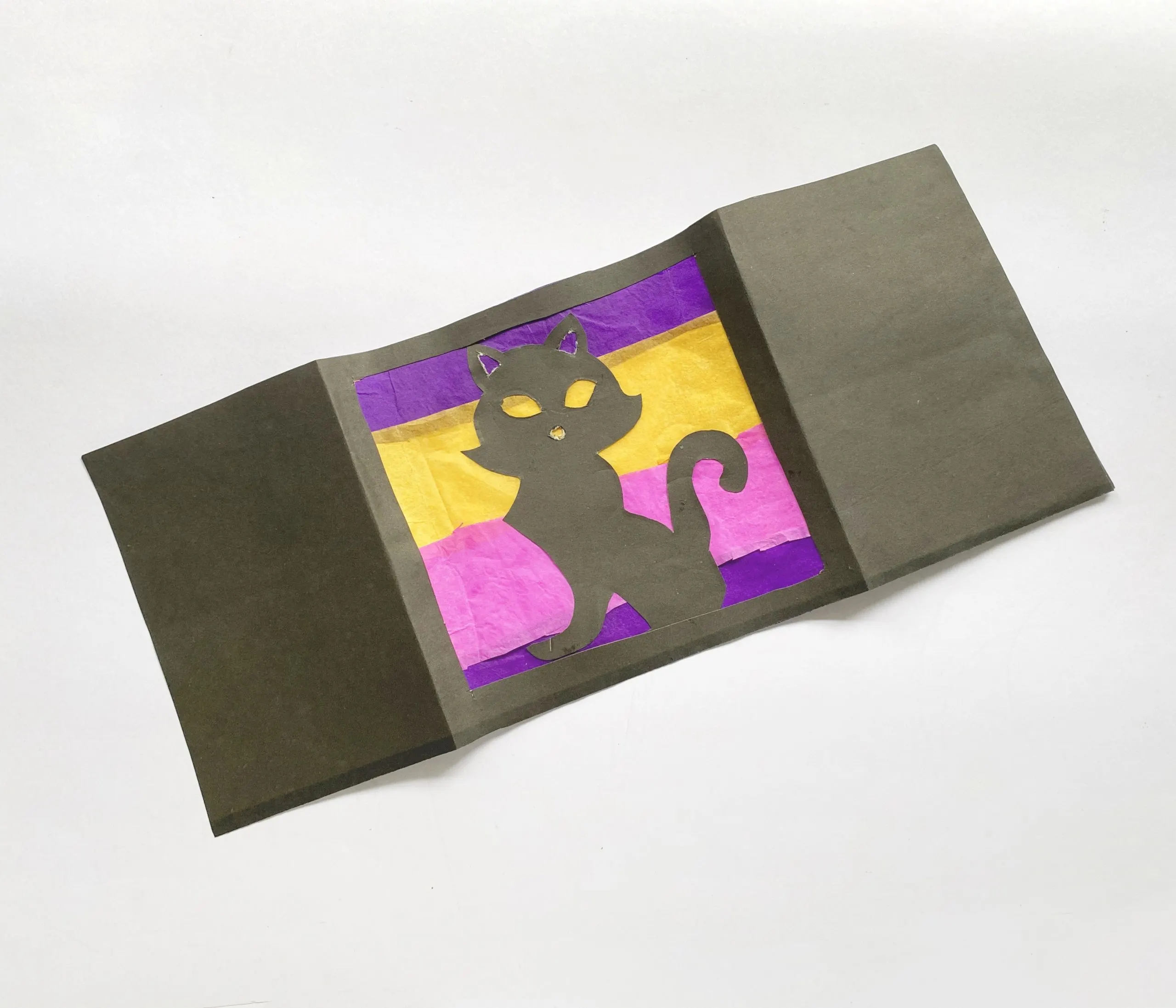 how to make a cat luminary