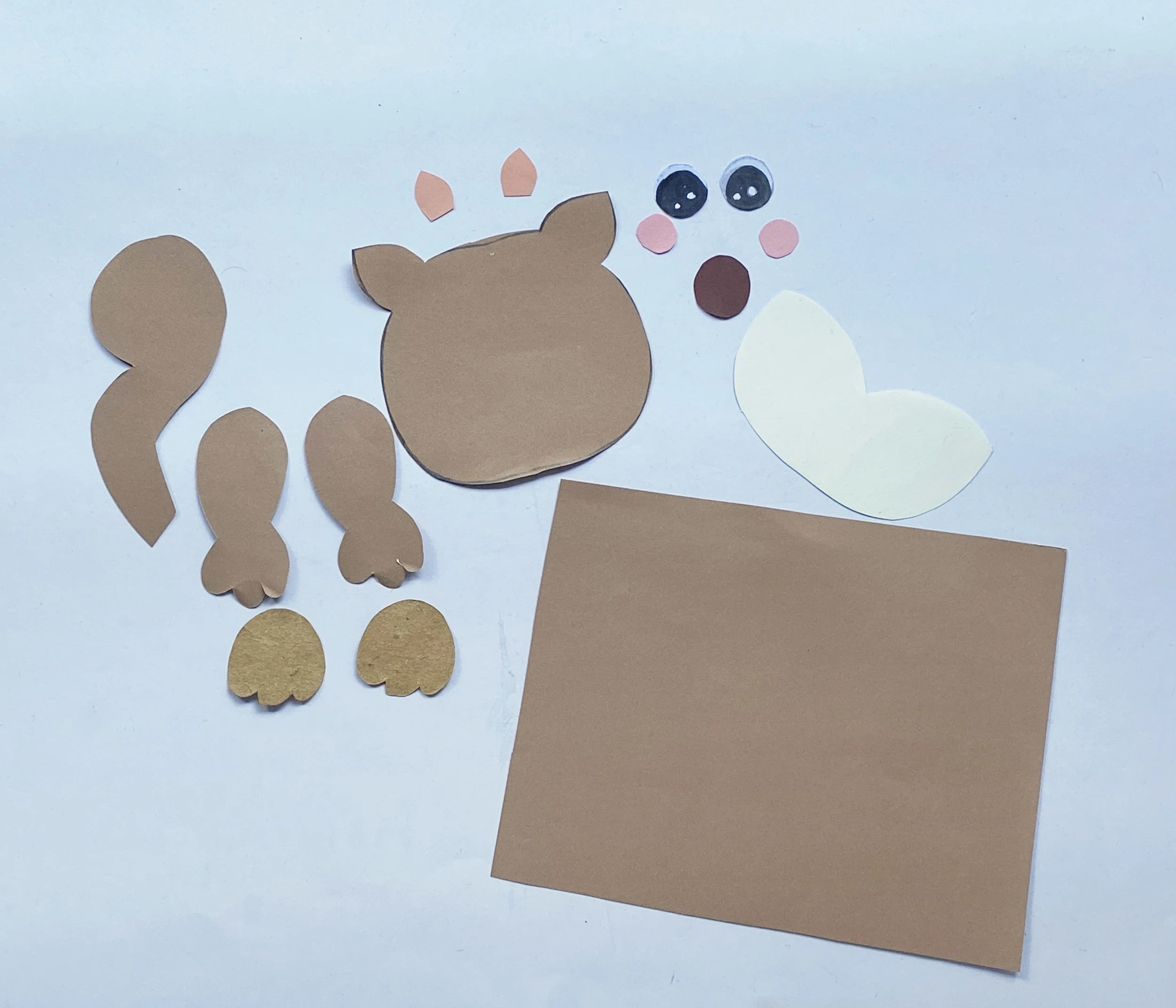 toilet paper roll squirrel craft supplies