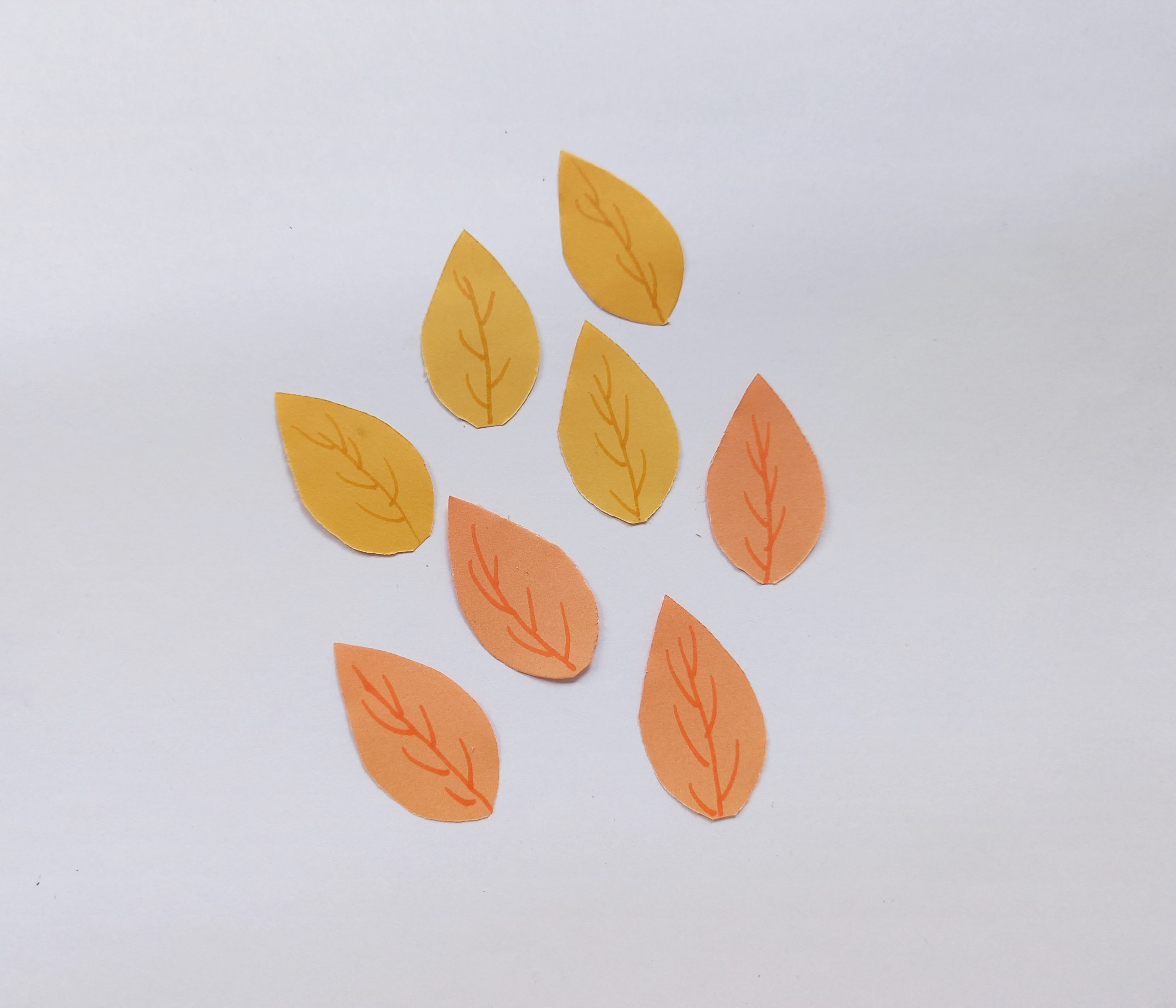 autumn leaves