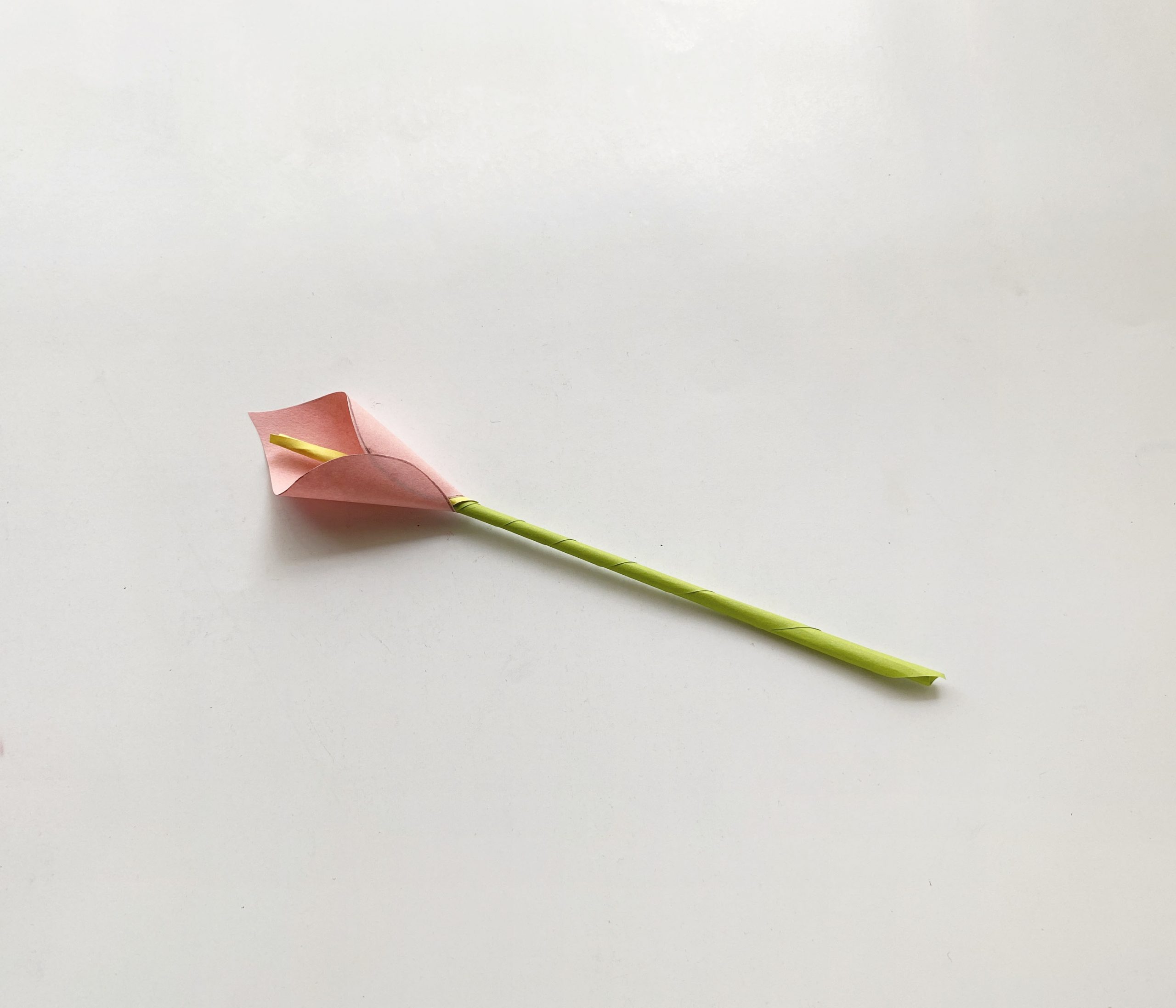flower craft for Mothers day