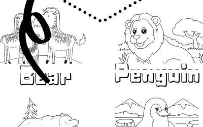 Zoo Animal Coloring Pictures