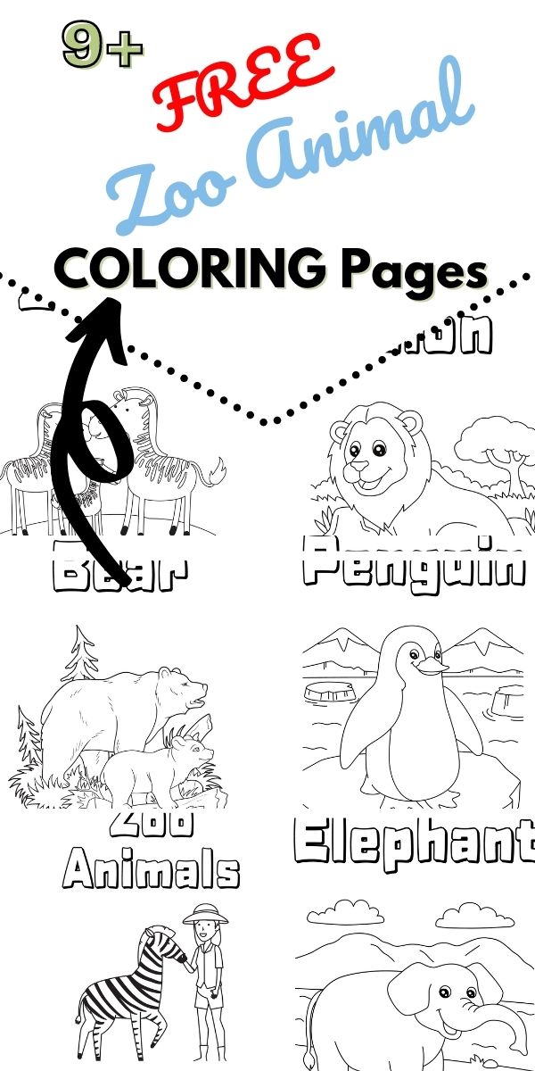 zoo animal coloring pages for kids printable