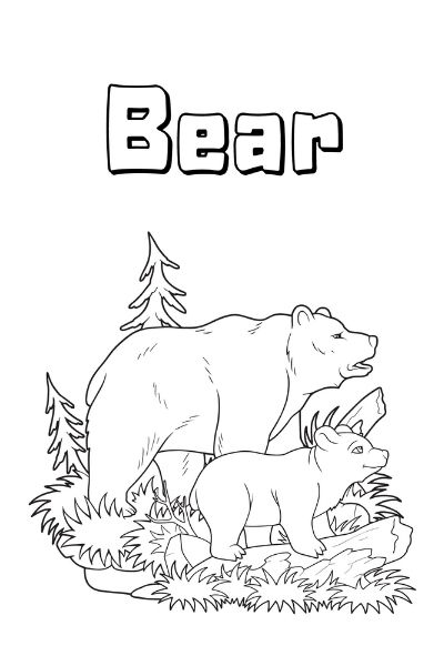 bear coloring page
