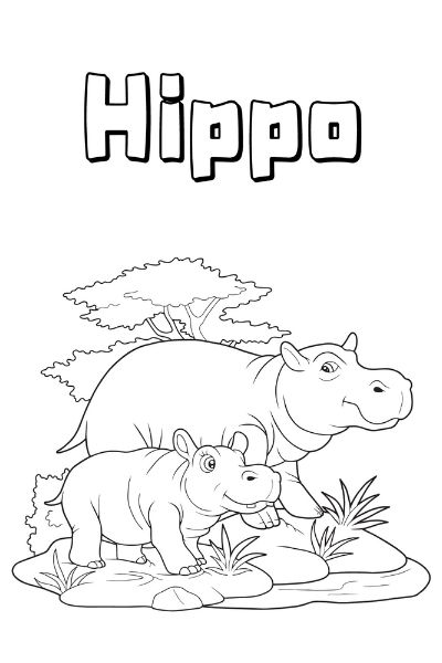 zoo animal coloring pages for kids printable