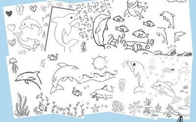 Dolphin colouring in pages