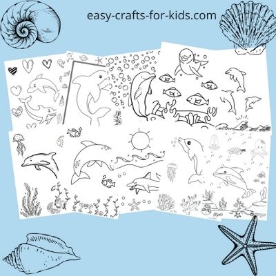 Dolphin colouring in pages