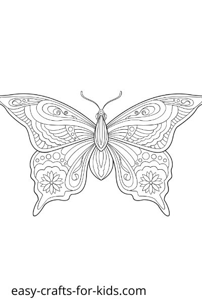 butterfly coloring page for adults