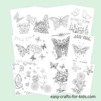 Best Free Butterfly Coloring Pages Online