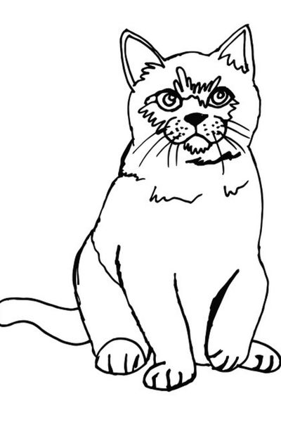 realistic cat coloring pages