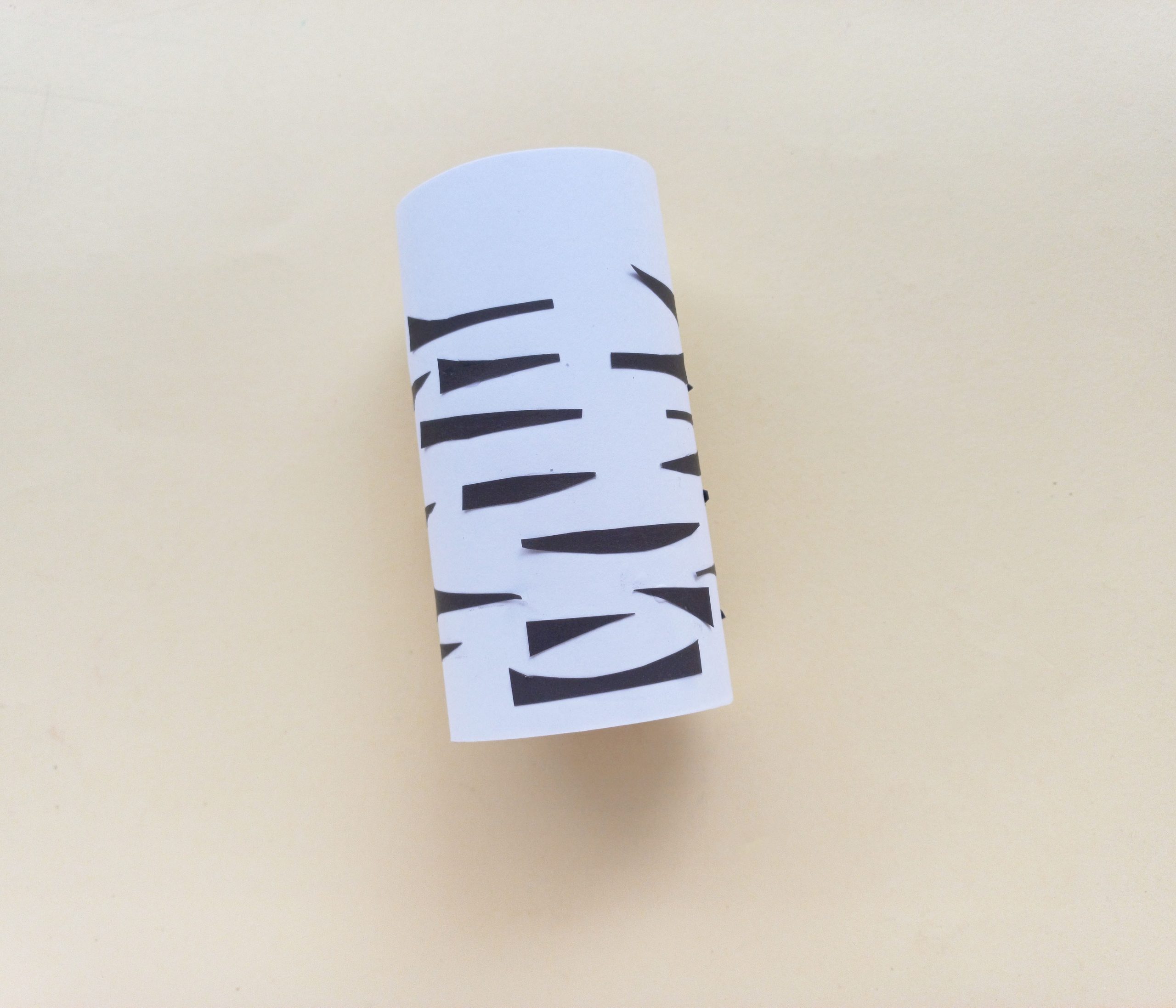 zebra craft with toilet paper roll process