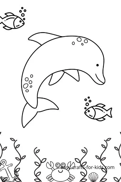 dolphin coloring page