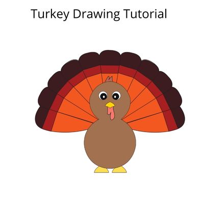 how to draw turkey step by step