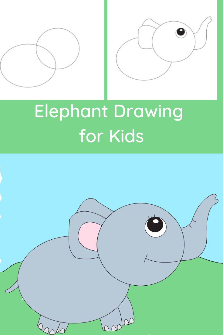 How to draw a realistic elephant