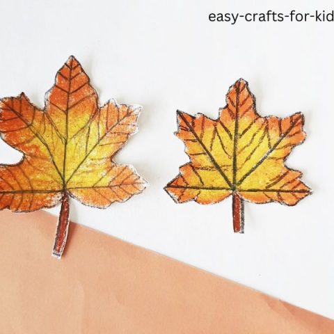 Maple Leaf Drawing Step by Step