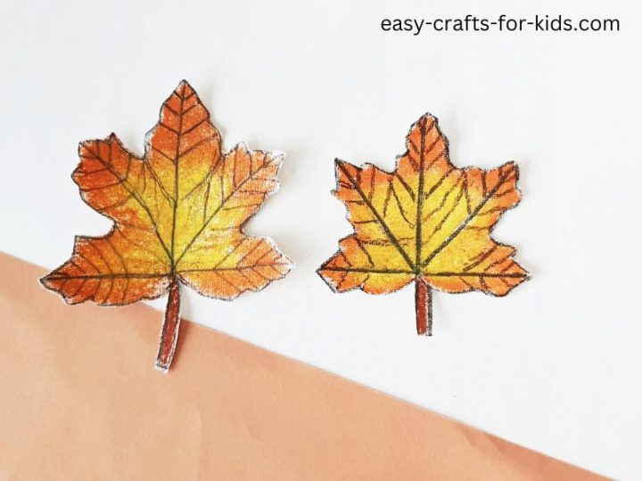 How to Draw a Maple Leaf – Maple Leaf Drawing Step by Step - Easy Crafts  For Kids