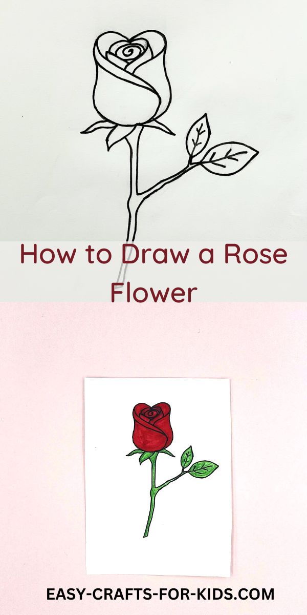 How to Draw a Rose Flower easy