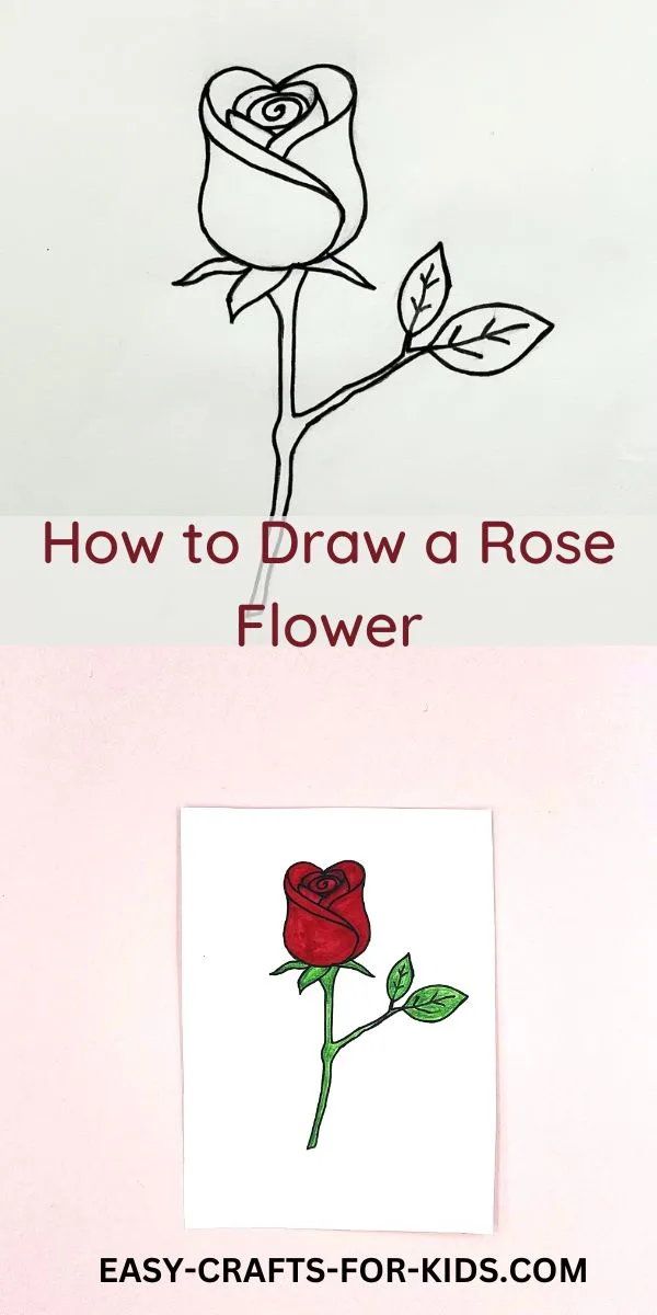 How to Draw a Rose Flower easy