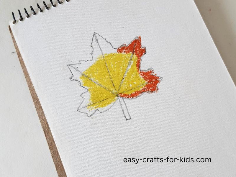 draw a maple leaf easy