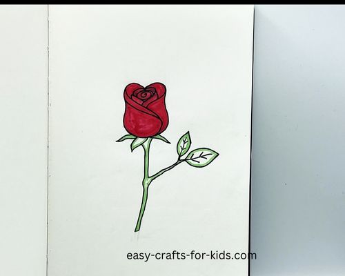 how to draw a rose in color