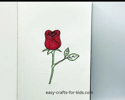 how to draw a rose in color