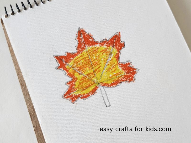 how to draw maple leaves
