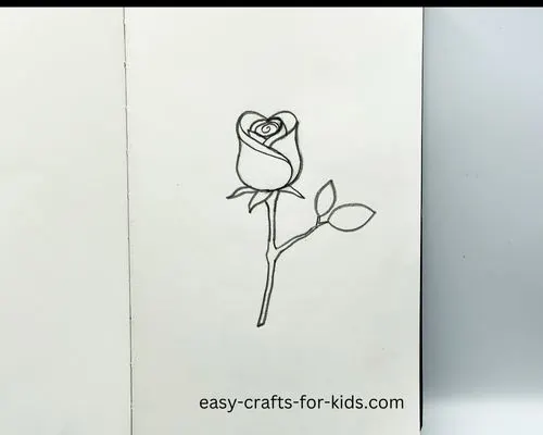 how to draw rose leaves