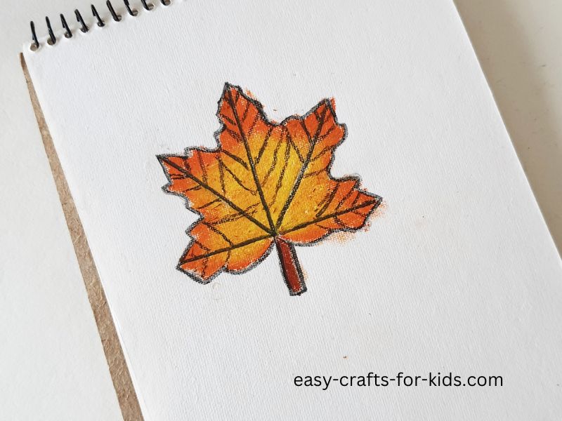 maple leaf drawing easy