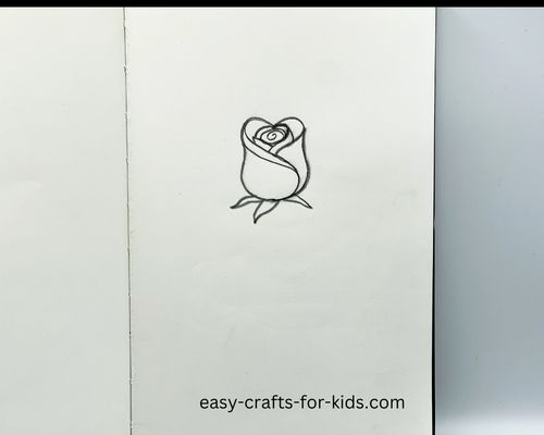 rose drawing instructions step by step