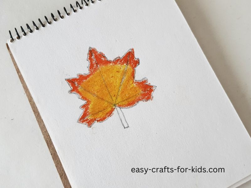 step by step maple leaf on paper